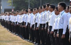 Dokumen Persyaratan Sekolah Kedinasan 2025: Formasi, Jadwal, dan Cara Daftar Lengkap
