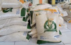 Cara Cek Penerima Bansos Beras 10 Kg Juli 2025 Lewat Online