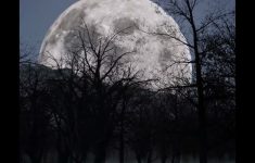 Fakta Fenomena Buck Moon 2025