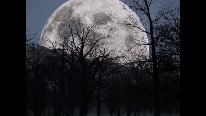 Fakta Fenomena Buck Moon 2025