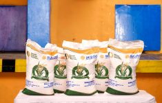 Penyaluran Bansos Beras 10 Kg Dimulai Juli 2025