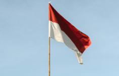 haijakarta 11 2