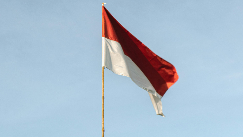 haijakarta 11 2