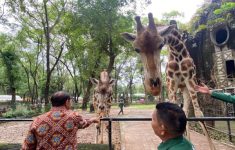 Siap-siap! Ragunan Bakal Buka Malam Hari, Begini Penjelasan Gubernur DKI Jakarta
