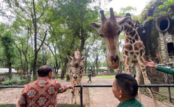 Siap-siap! Ragunan Bakal Buka Malam Hari, Begini Penjelasan Gubernur DKI Jakarta