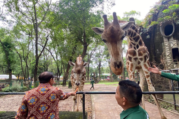 Siap-siap! Ragunan Bakal Buka Malam Hari, Begini Penjelasan Gubernur DKI Jakarta
