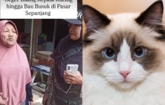 Heboh! Penemuan Puluhan Kepala Kucing di Pasar Sepanjang Sidoarjo, Polisi Buka Suara