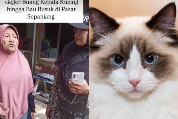 Heboh! Penemuan Puluhan Kepala Kucing di Pasar Sepanjang Sidoarjo, Polisi Buka Suara