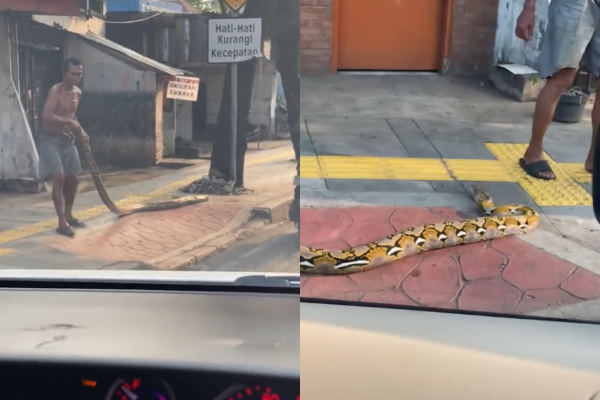Pria Tutup Akses Trotoar Pakai Ular Piton Gegara Kesal dengan Pemotor Nakal, Netizen: Mengatasi Masalah dengan Masalah