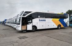 Berlaku Mulai Hari ini! Tiket Promo Damri Rute Tanjung Barat Bandara Soetta Cuma Rp80ribu, Cek Jam Keberangkatannya