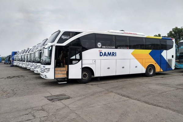 Berlaku Mulai Hari ini! Tiket Promo Damri Rute Tanjung Barat Bandara Soetta Cuma Rp80ribu, Cek Jam Keberangkatannya