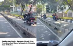 Moge Masuk Jalur Transjakarta di Jakarta Barat