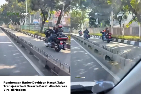 Moge Masuk Jalur Transjakarta di Jakarta Barat