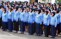 Nasib Honorer Ditentukan Dalam Pengangkatan PPPK Paruh Waktu 2025