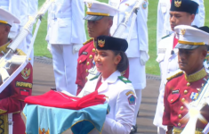 haijakarta 14 2