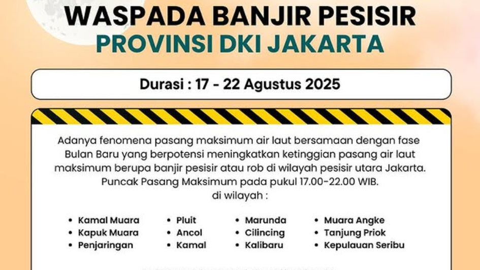 haijakarta 15 2