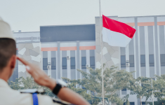 haijakarta 19