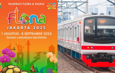 haijakarta 23