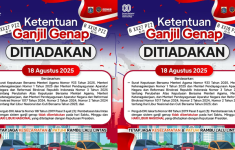 haijakarta 7