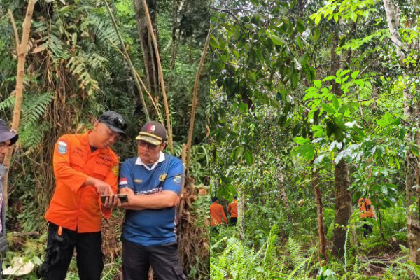 Lansia 72 Tahun Hilang di Kebun Karet Riau, Tak Kembali Usai Pamit BAB