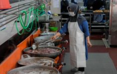 Daftar Dapur MBG yang Dinonaktifkan Buntut Keracunan Massal, 50 Lebih SPPG Ditindak!