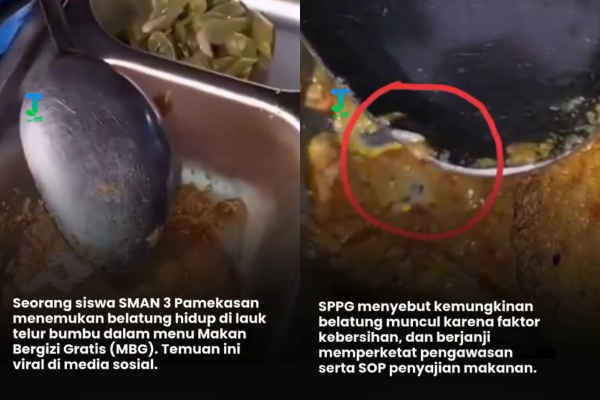 Geger! Pelajar SMAN 3 Pamekasan Temukan Belatung di MBG, Video Viral di Medsos