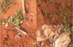 Viral! Misteri Penemuan Kain Kafan dan Tulang Manusia di Proyek Tangerang