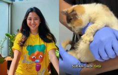 Polisi Panggil Sherina Munaf untuk Klarifikasi Terkait Penjarahan Kucing Uya Kuya