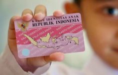Perbedaan KTP Pink dan KTP Biru yang Perlu Diketahui, Cek Fungsinya!
