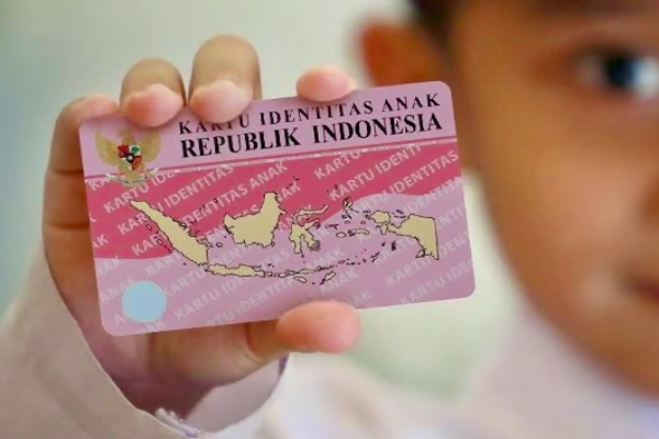 Perbedaan KTP Pink dan KTP Biru yang Perlu Diketahui, Cek Fungsinya!