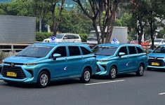 Syarat Daftar Driver Blue Bird, Umur 50 Tahun Ke Atas Bisa Ikut, Cek Ketentuannya