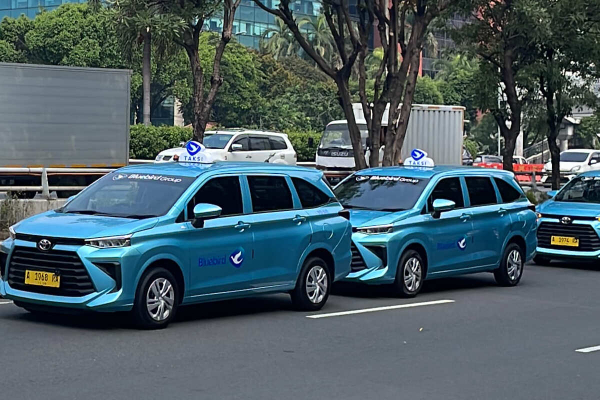 Syarat Daftar Driver Blue Bird, Umur 50 Tahun Ke Atas Bisa Ikut, Cek Ketentuannya