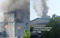 Kebakaran Pabrik Kimia di Pasuruan, Tiga Pekerja Alami Luka Bakar Serius di Tangan dan Kaki