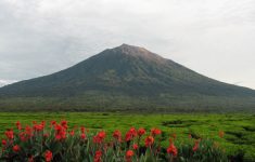 Pesona Gunung Kerinci, Jambi