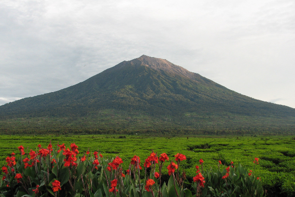 Pesona Gunung Kerinci, Jambi