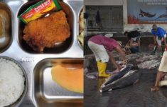 Bahaya Konsumsi Daging Ikan Hiu bagi Anak, Kasus MBG Ketapang Jadi Sorotan