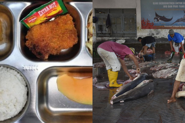 Bahaya Konsumsi Daging Ikan Hiu bagi Anak, Kasus MBG Ketapang Jadi Sorotan