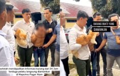 Pria Asal Sumatera Selatan Menjagal Ratusan Kucing dan Dijual Rp100 Ribu per Kilo, Ngakunya Kambing Muda
