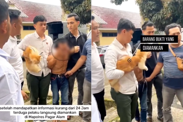 Pria Asal Sumatera Selatan Menjagal Ratusan Kucing dan Dijual Rp100 Ribu per Kilo, Ngakunya Kambing Muda