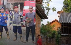 Damkar Tangkap Monyet Peliharaan Kabur ke Rumah Warga di Indramayu