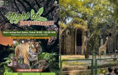 Dibuka Hari ini! Daftar Atraksi Wisata Malam Ragunan Zoo, Lengkap Beserta Harga Tiketnya