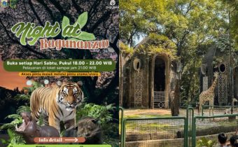Dibuka Hari ini! Daftar Atraksi Wisata Malam Ragunan Zoo, Lengkap Beserta Harga Tiketnya