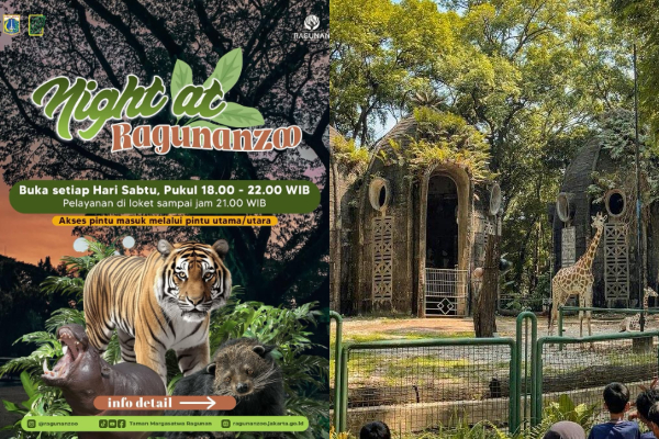 Dibuka Hari ini! Daftar Atraksi Wisata Malam Ragunan Zoo, Lengkap Beserta Harga Tiketnya