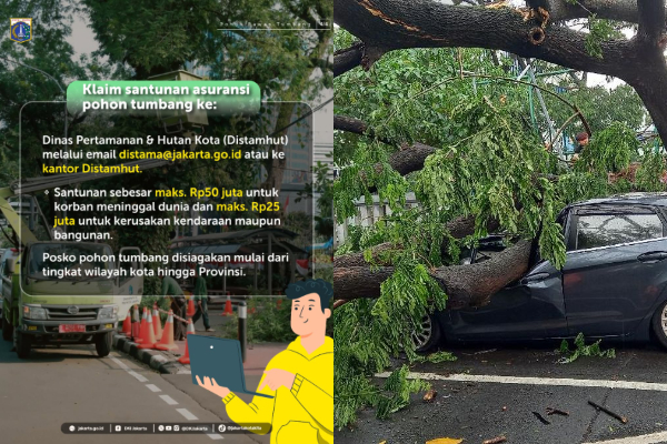 Ciri-Ciri Pohon Rawan Tumbang, Pemerintah Siapkan Santunan hingga Rp50 Juta Korban Pohon Tumbang 2 Ciri-Ciri Pohon Rawan Tumbang, Pemerintah Siapkan Santunan hingga Rp50 Juta Korban Pohon Tumbang