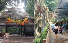 Bandung Zoo Resmi Dibuka Kembali