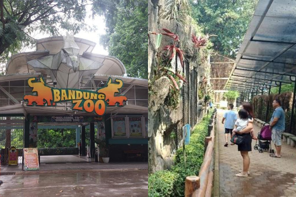 Bandung Zoo Resmi Dibuka Kembali