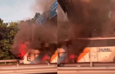 Hampir Setengah Bagian Bus Damri Terbakar di Tol Cikampek, Begini Kondisinya Sekarang!