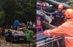 Pengemudi Mobil Tewas Tertimpa Pohon Tumbang di Dharmawangsa