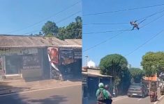 Puluhan Monyet Serang Pemukiman Warga di Serpong, Diduga Habitat Terganggu Gegara Pembangunan