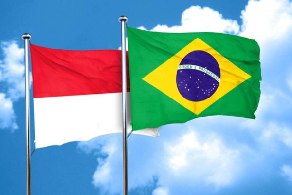 Siap-Siap! Bahasa Portugis Masuk Kurikulum Sekolah dan Kampus: Bahasa Prioritas!